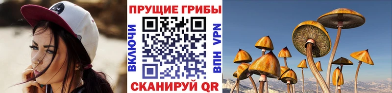 Галлюциногенные грибы ЛСД  Любим 